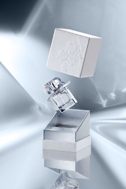 灰白銀 站酷Zcool平臺上的創(chuàng)意設(shè)計寶藏