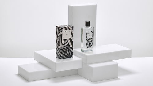 創意視覺交響曲 包裝、插畫、標志與網站的融合之美